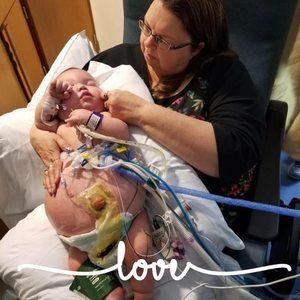 Meet your Posher, Ann